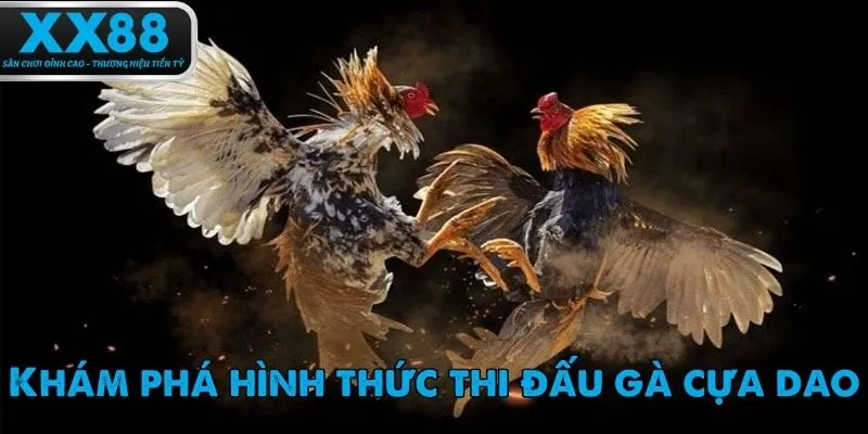 Đá gà cựa dao là trò chơi nổi tiếng tại Việt Nam và trên toàn cầu