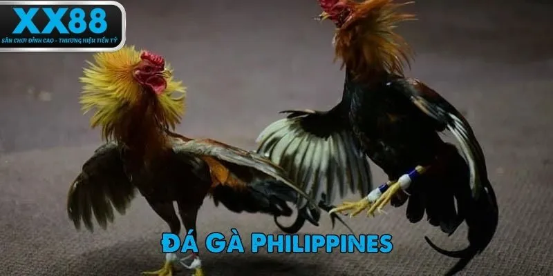 da-ga-philippines